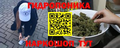 гидропоника Заволжье