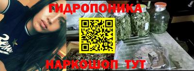 гидропоника Заволжье