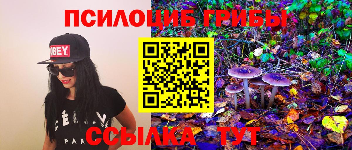 Люберцы  Псилоцибиновые грибы Psilocybe  Вход с VPN  Псилоцибиновые грибы MAGIC MUSHROOMS 