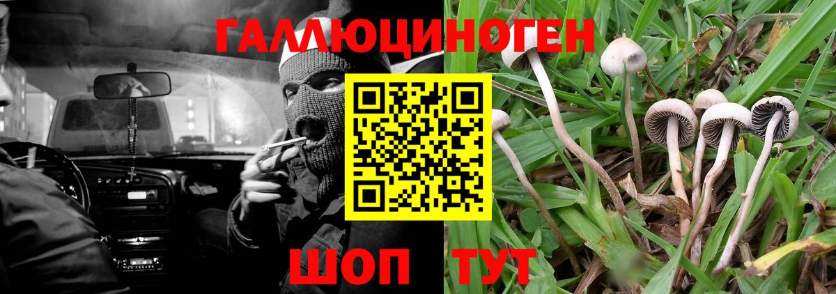 Галлюциногенные грибы мицелий Люберцы